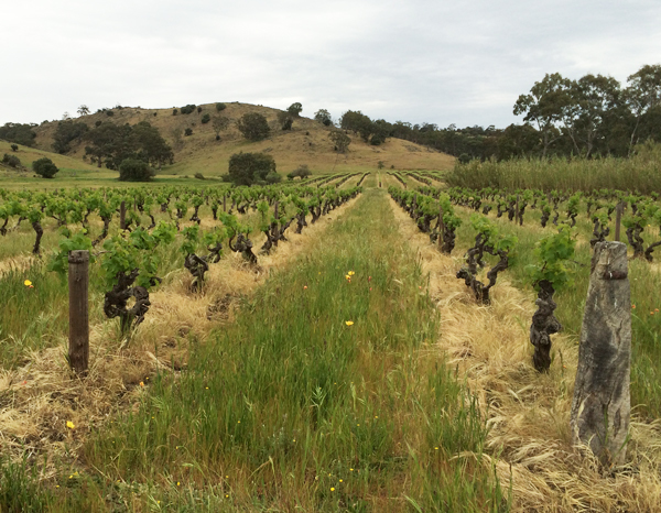 eperosa-barossa-valley-australia-thumbnail