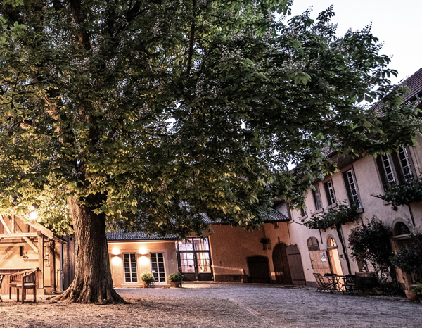 wagner-stempel-rheinhessen-germany-thumbnail