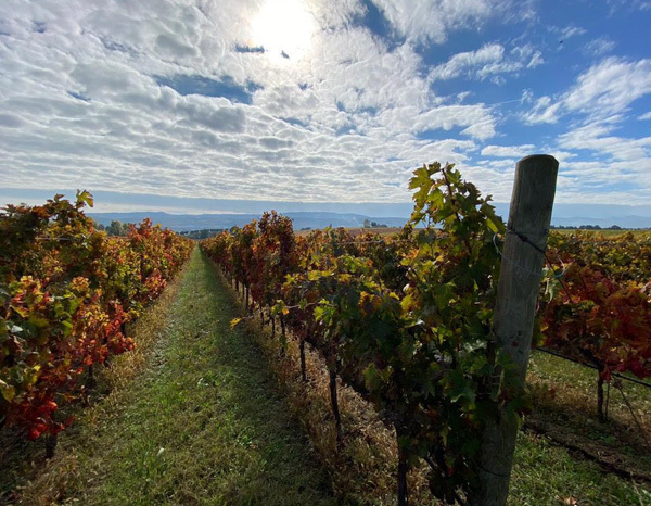 barba-thumbnail-abruzzo-italy