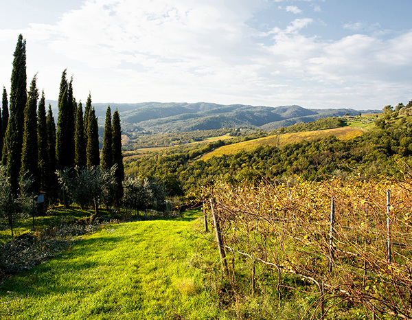 camperchi-toscana-italy-thumbnail