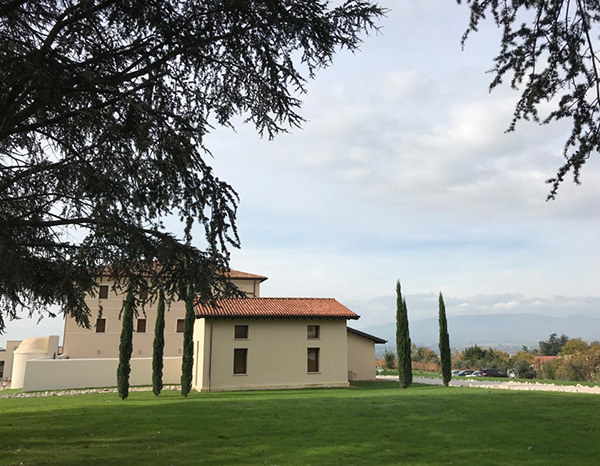 cincinnato-lazio-italy-winery