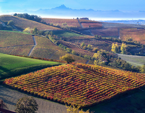 clavesana-thumbnail-piedmont-italy