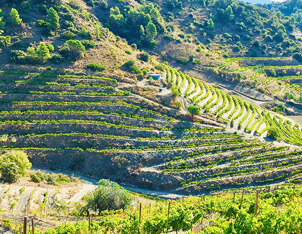 creu-celta-priorat-spain-thumbnail