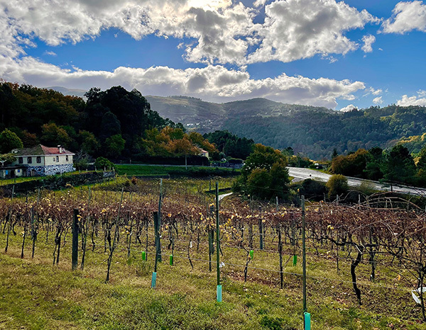 destinos-cruzados-rías-baixas-spain-thumbnail