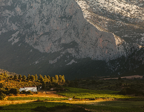 dorgali-sardegna-italy-thumbnail