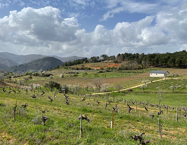 luna-beberide-el-bierzo-spain-thumbnail