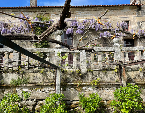 palacio-de-fefiñanes-rías-baixas-spain-thumbnail