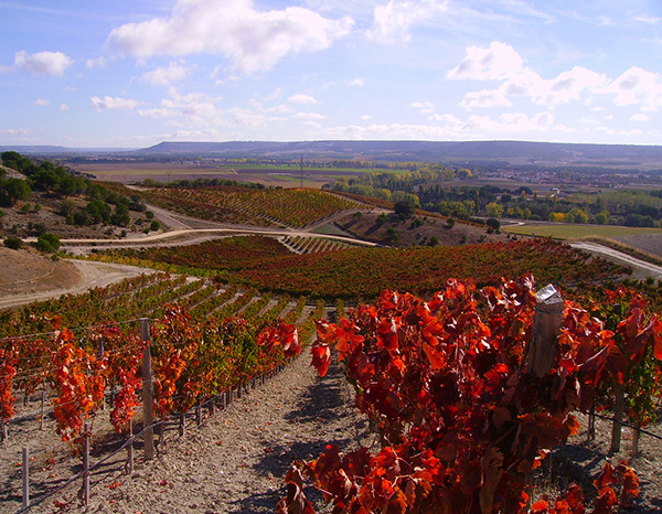 quinta-sardonia-castilla-y-león-spain-thumbnail