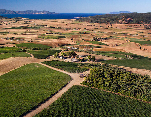 terre-di-talamo-toscana-italy-thumbnail