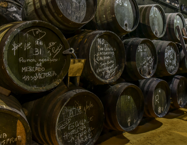 toro-albala-montilla-moriles-spain-thumbnail
