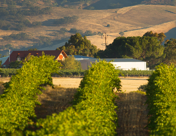 tscharke-barossa-valley-australia-thumbnail