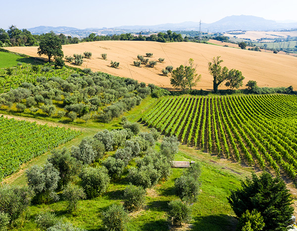 emilia-romagna-italy-thumbnail