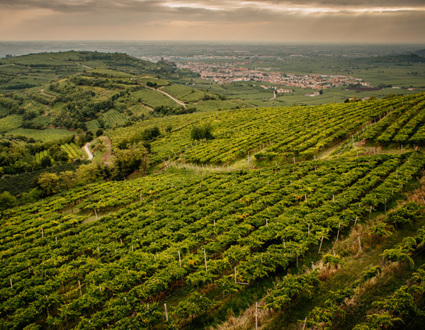 veneto-thumbnail-inama-veneto-italy