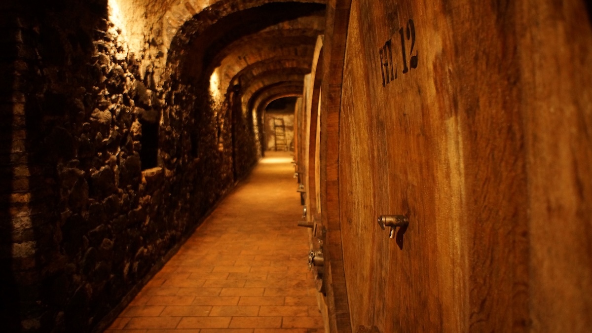 collosorbo-cellar