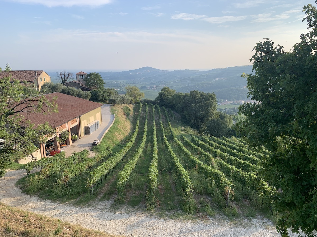corte-sant'alda-winery
