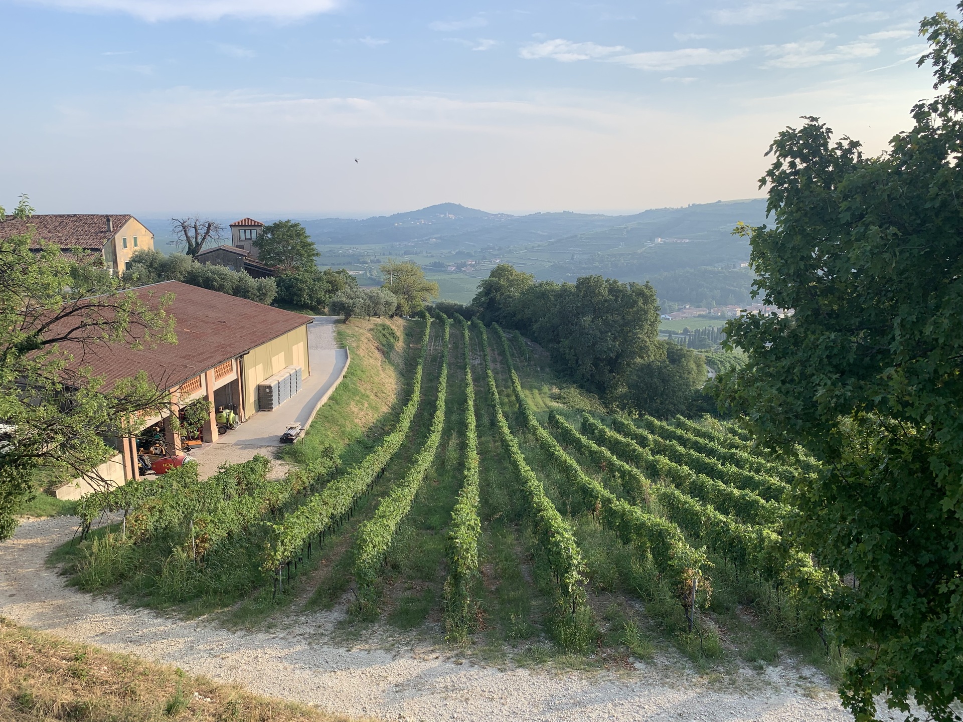 corte-sant-alda-winery