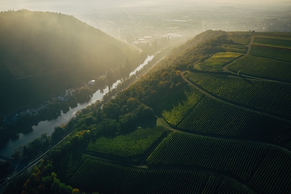 kruger-rumpf-vineyard