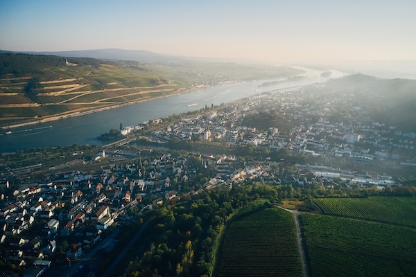 kruger-rumpf-vineyard