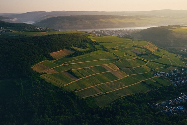 kruger-rumpf-vineyard