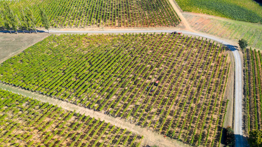 la-zerba-vineyard-arial-2