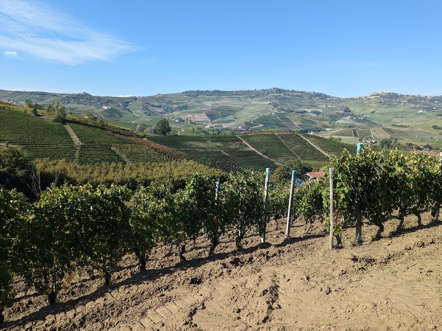 mascarello-vineyard-monprivato