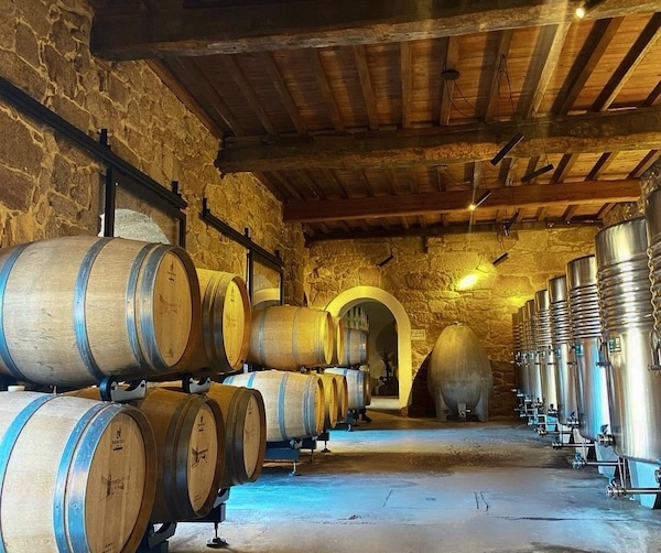 palacio-de-fefiñanes-cellar