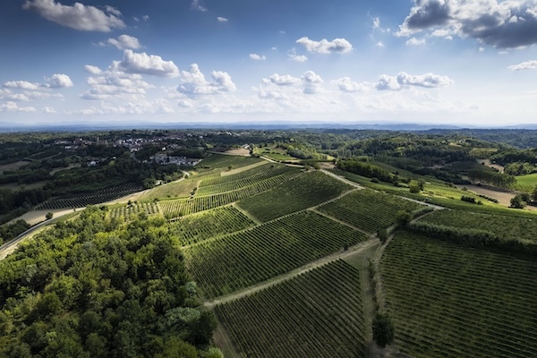 ruche-vineyard