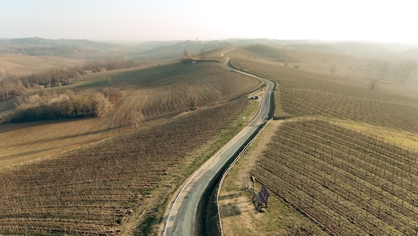 ruche-vineyard