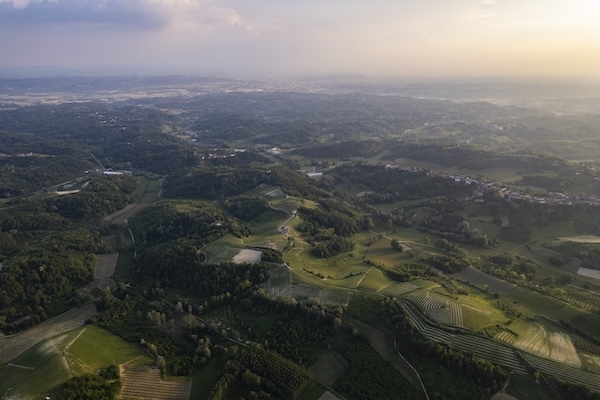 ruche-vineyard