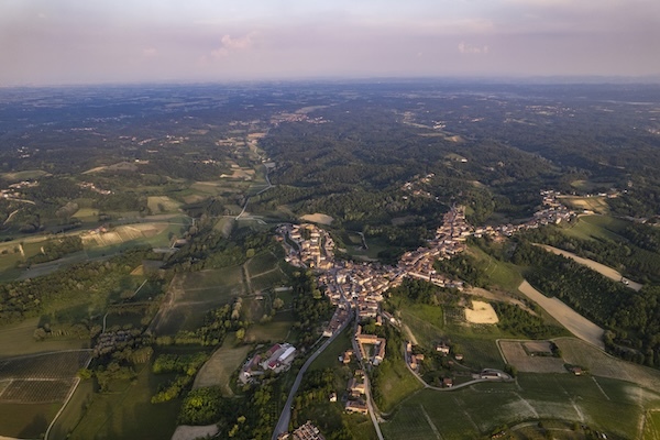 ruche-vineyard