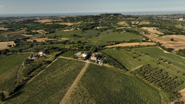 san-valentino-vineyards
