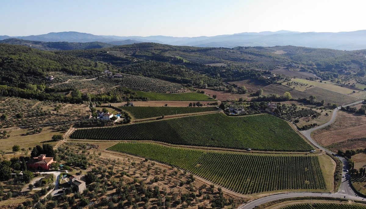 torre-a-cona-vineyard-badia-corte
