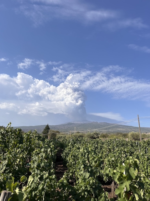 vini-di-luca-volcano